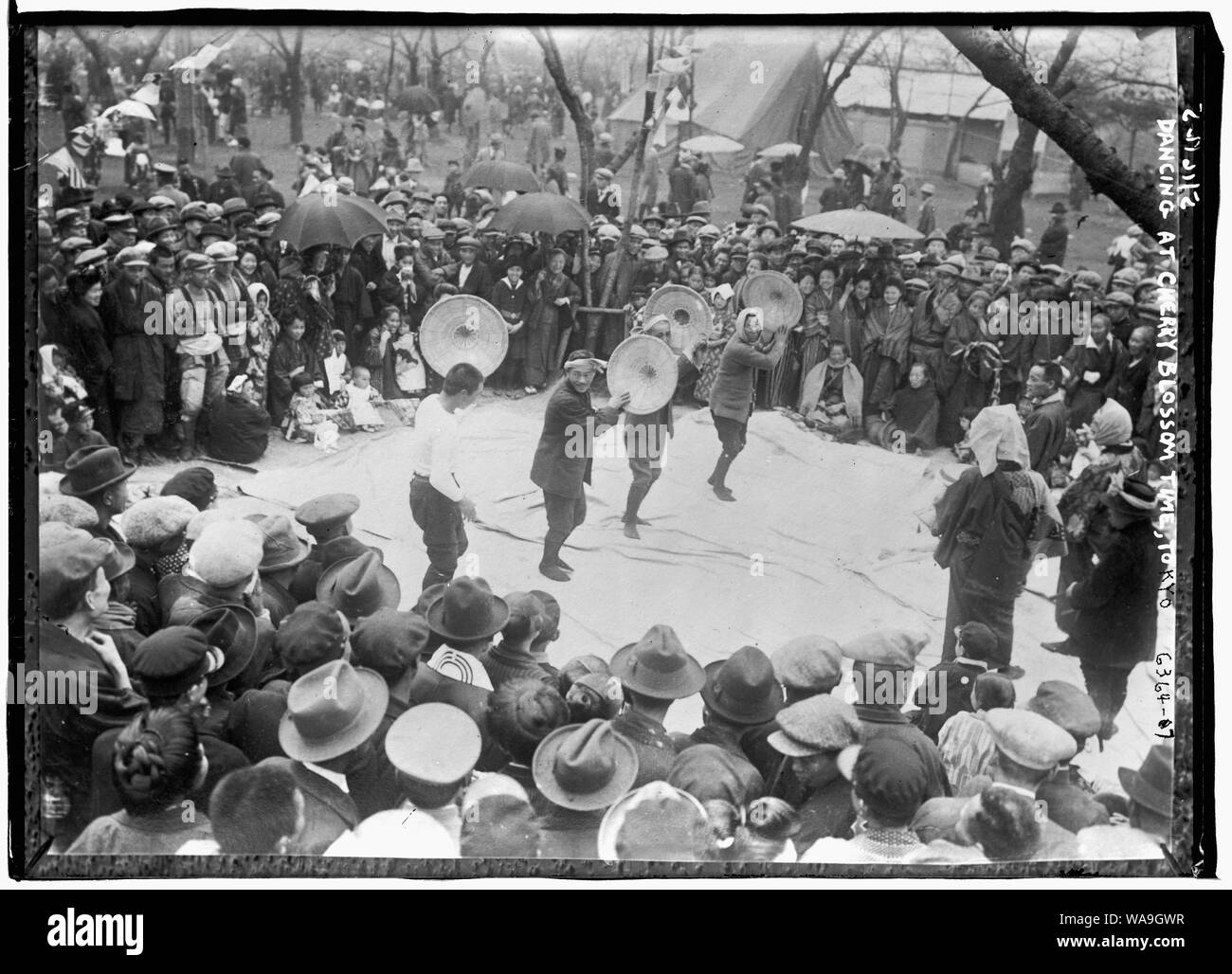 Les fleurs de cerisier, Tokyo - danse Banque D'Images