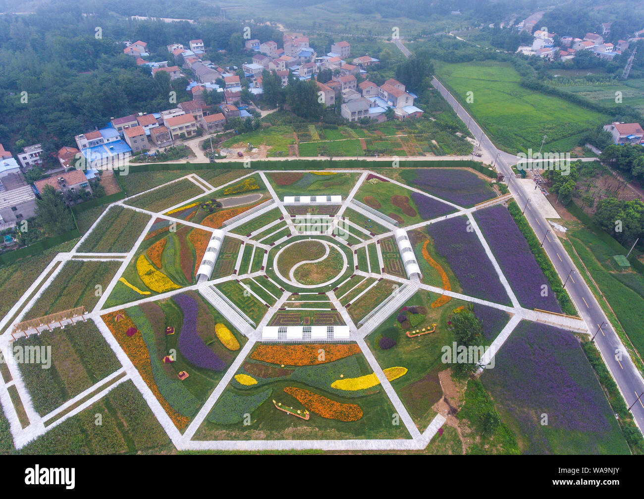 Vues aériennes de huit-diagramme, également connu sous le bagua feng shui dans la culture traditionnelle chinoise, formé par champ de fleurs dans la ville de Wolong, Xiangfan city, ce Banque D'Images