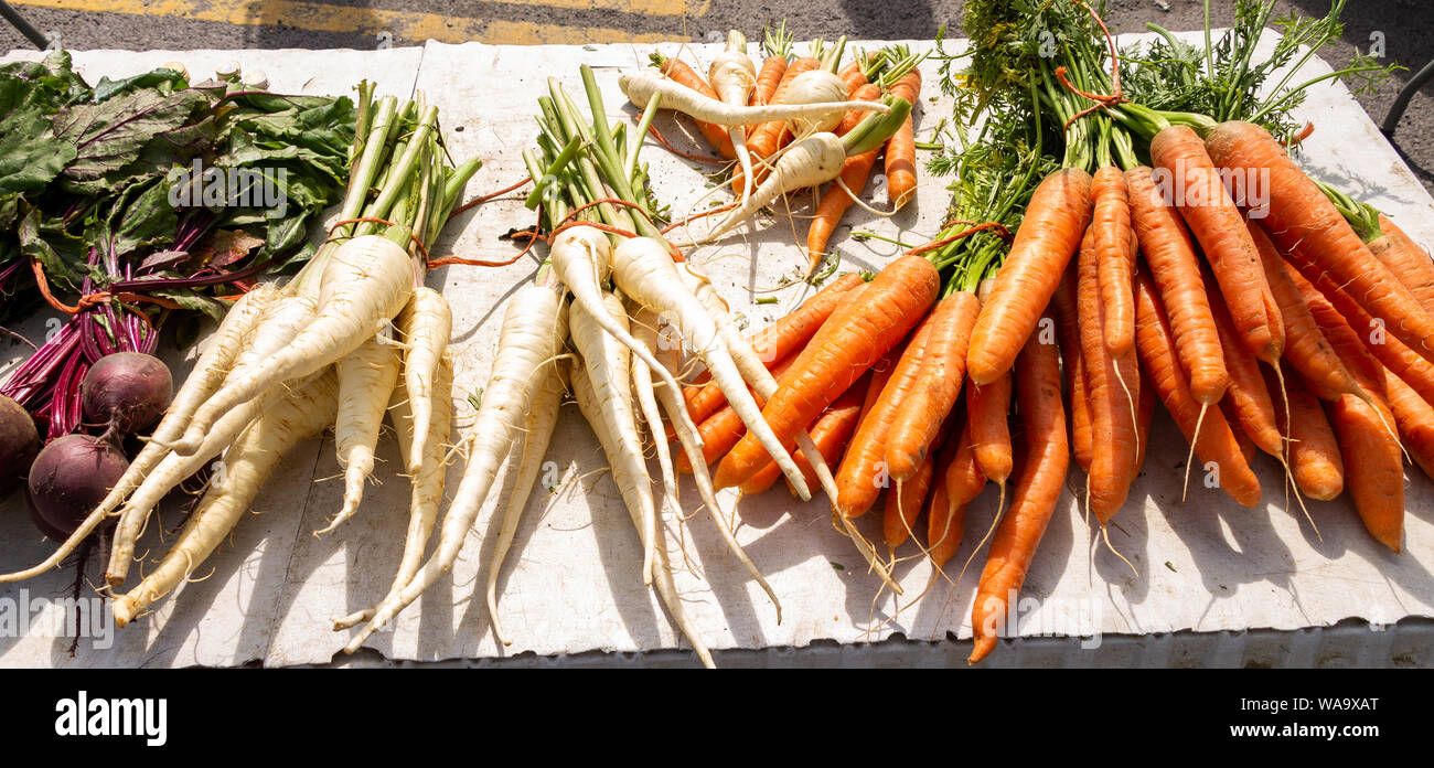 Légumes Racines en vente sur un étal du marché Banque D'Images