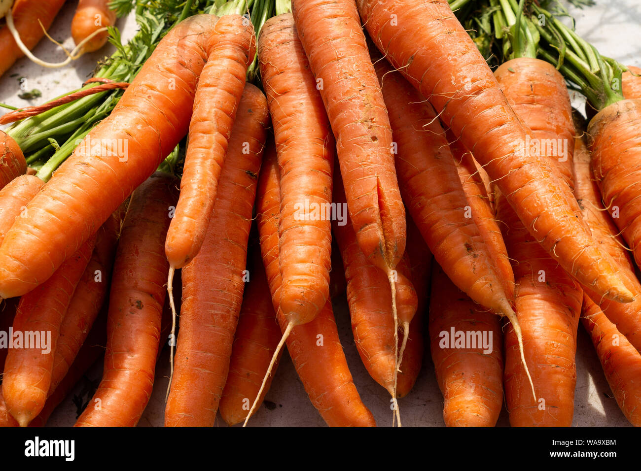 Légumes Racines en vente sur un étal du marché Banque D'Images