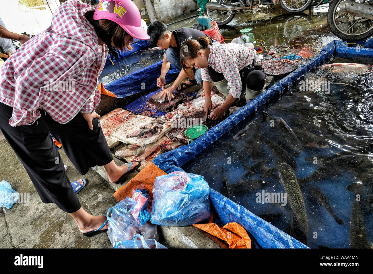 Vietnam - Bac Ha, 26 août 2018 : des personnes non identifiées, l'achat et la vente du poisson au marché le dimanche 26 août 2018 à Bac Ha, au Vietnam. Banque D'Images