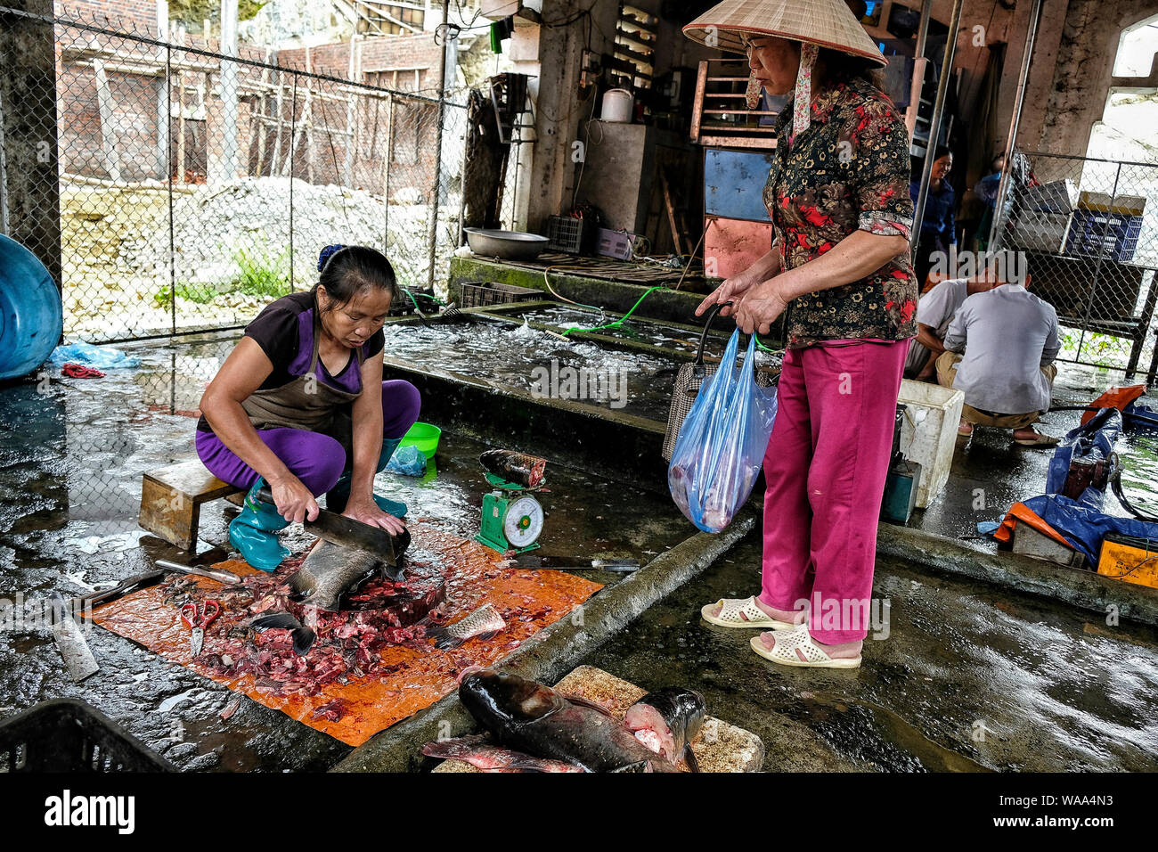 Vietnam - Bac Ha, 26 août 2018 : des personnes non identifiées, l'achat et la vente du poisson au marché le dimanche 26 août 2018 à Bac Ha, au Vietnam. Banque D'Images