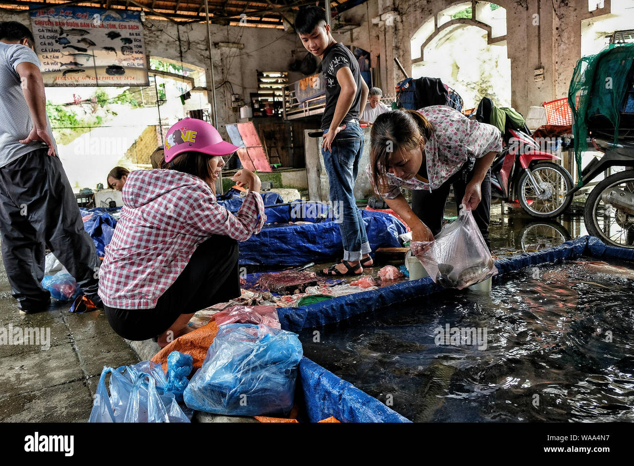 Vietnam - Bac Ha, 26 août 2018 : des personnes non identifiées, l'achat et la vente du poisson au marché le dimanche 26 août 2018 à Bac Ha, au Vietnam. Banque D'Images