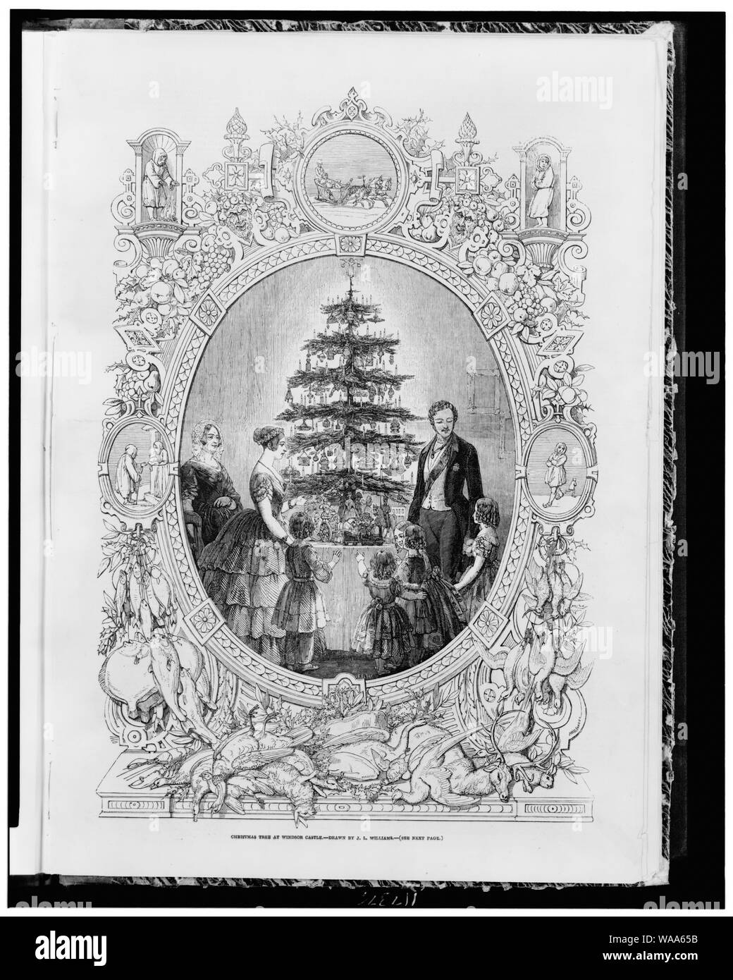 Arbre de Noël au château de Windsor / dessiné par J.L. Williams. Banque D'Images