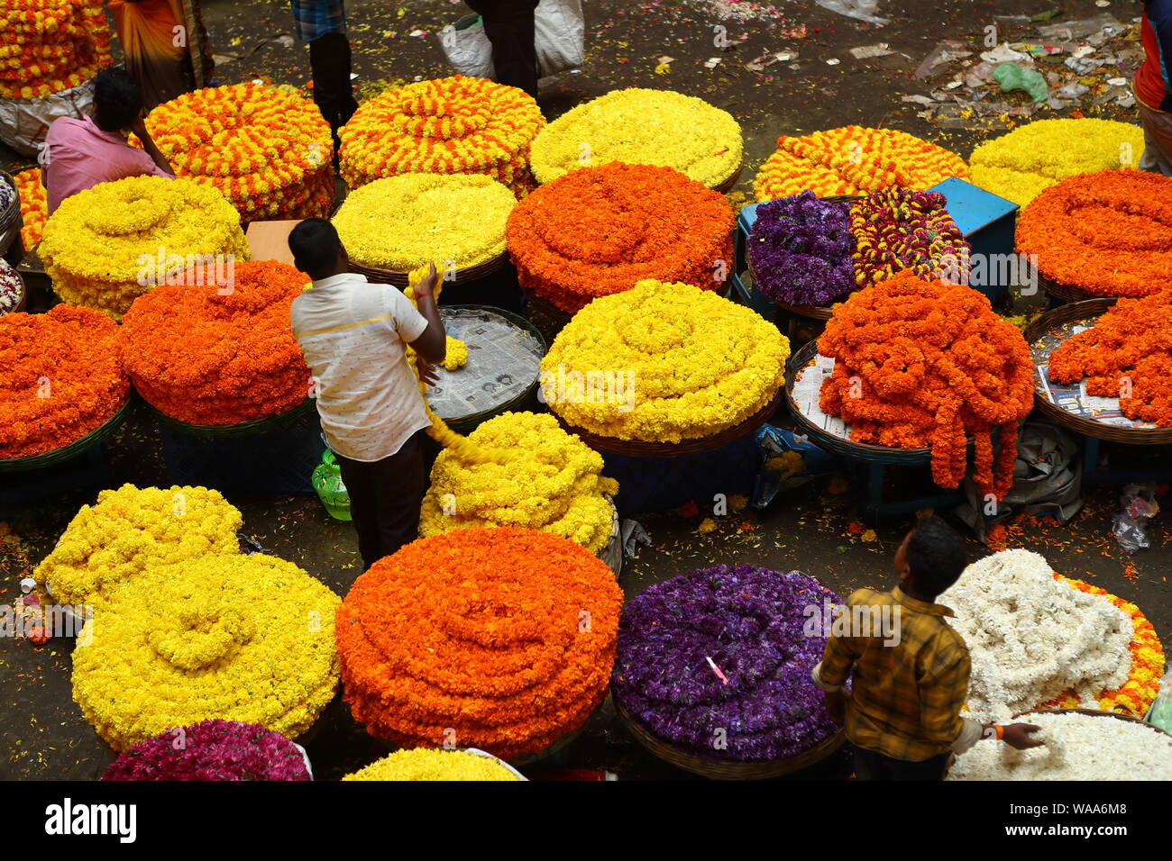 Marché aux Fleurs Marché-KR, Bangalore, Karnataka, Inde Banque D'Images