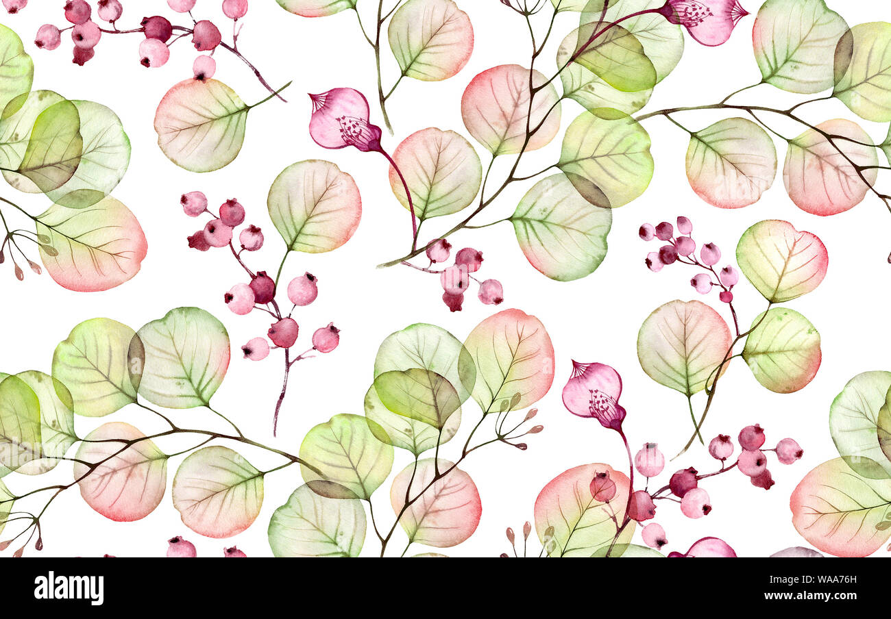 Aquarelle Eucalyptus modèle homogène. Illustration floral transparent dessiné à la main avec des baies roses pour la conception de mariage, surface, textile, papier peint Banque D'Images