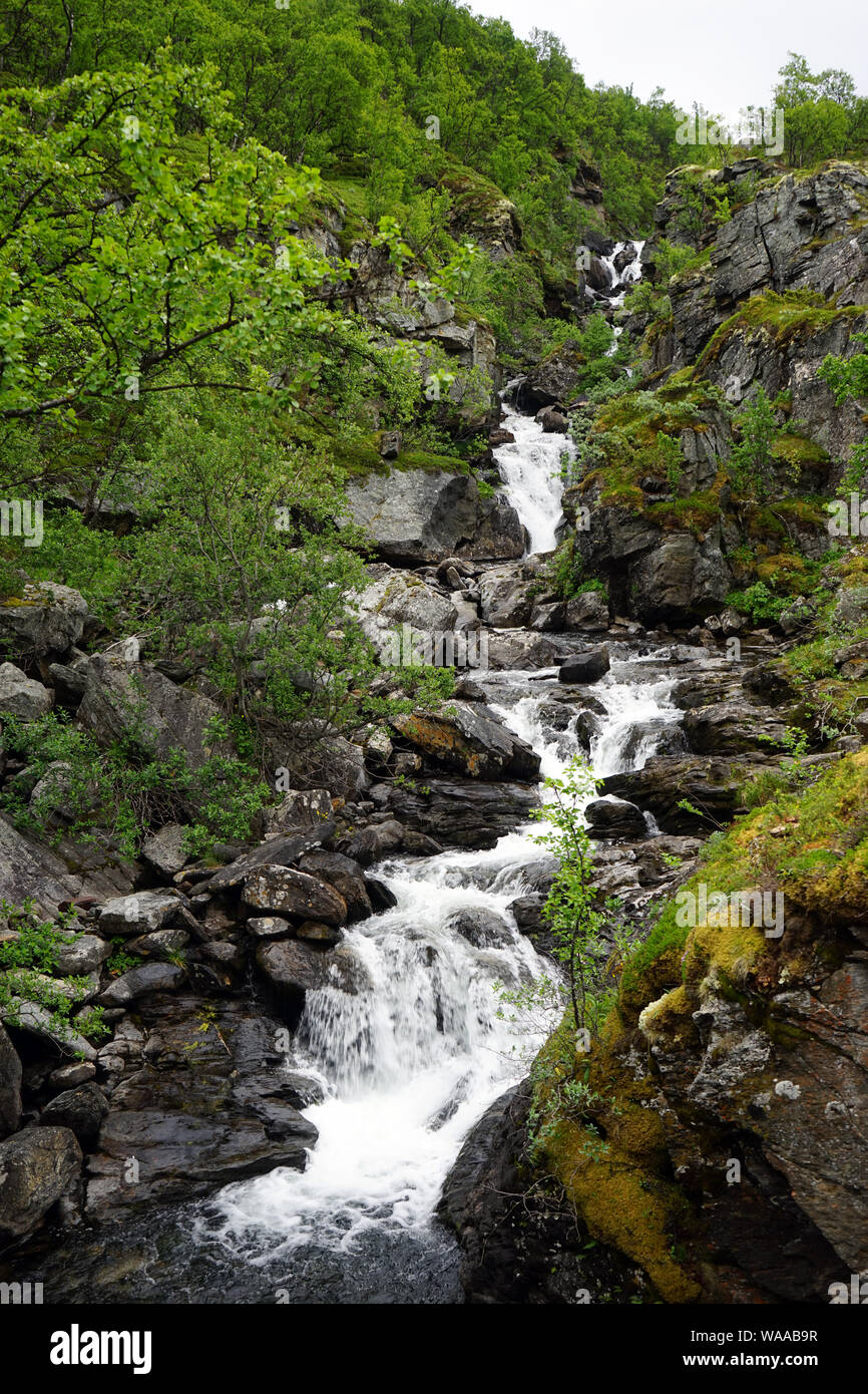 Rochers et rivière de montagne en Norvège Banque D'Images