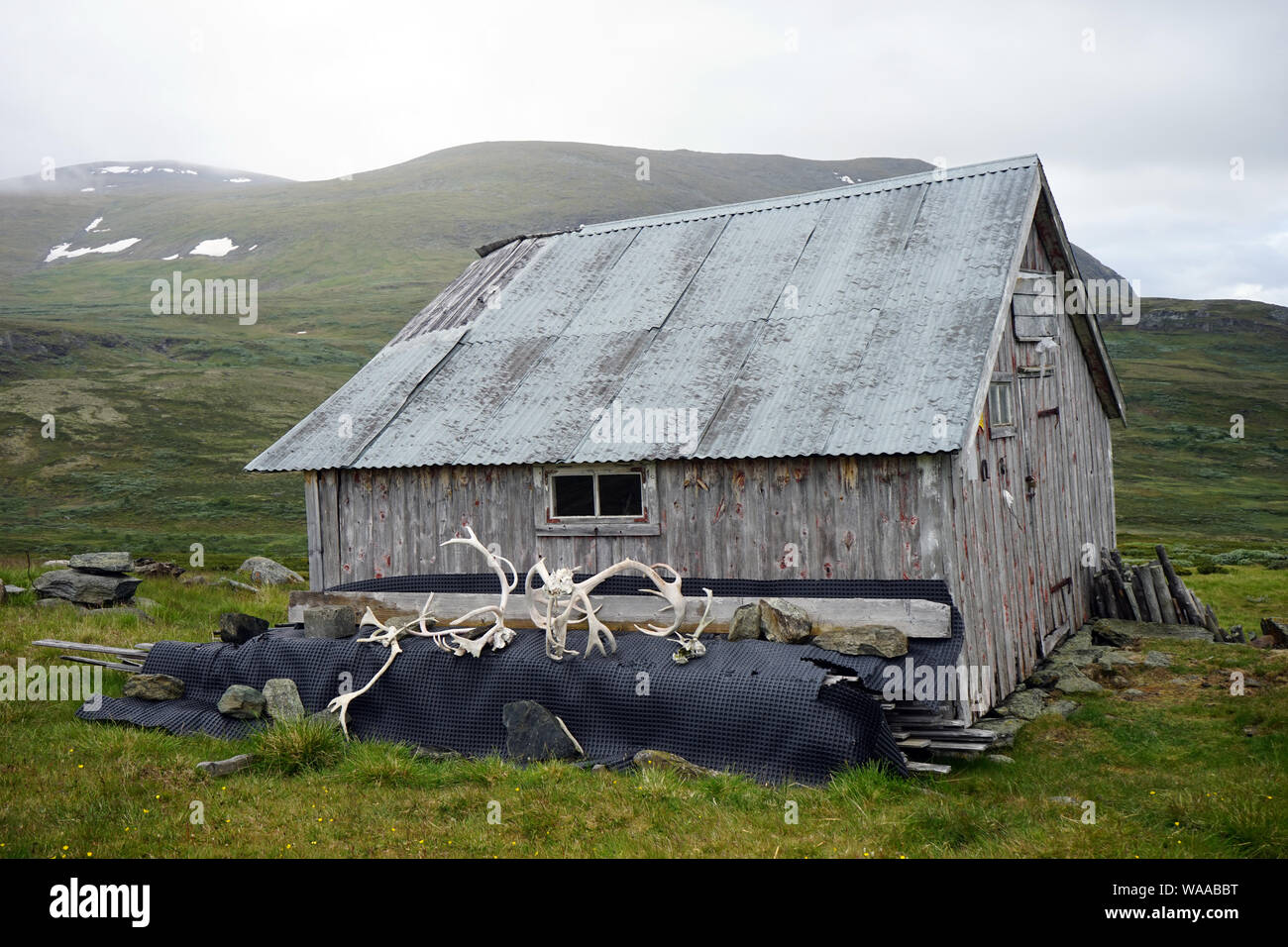 Maison en bois en zone de montagne en Norvège Banque D'Images