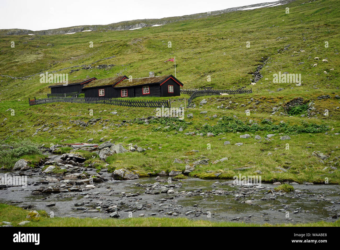 Maisons de ferme en bois et la rivière en Norvège Banque D'Images