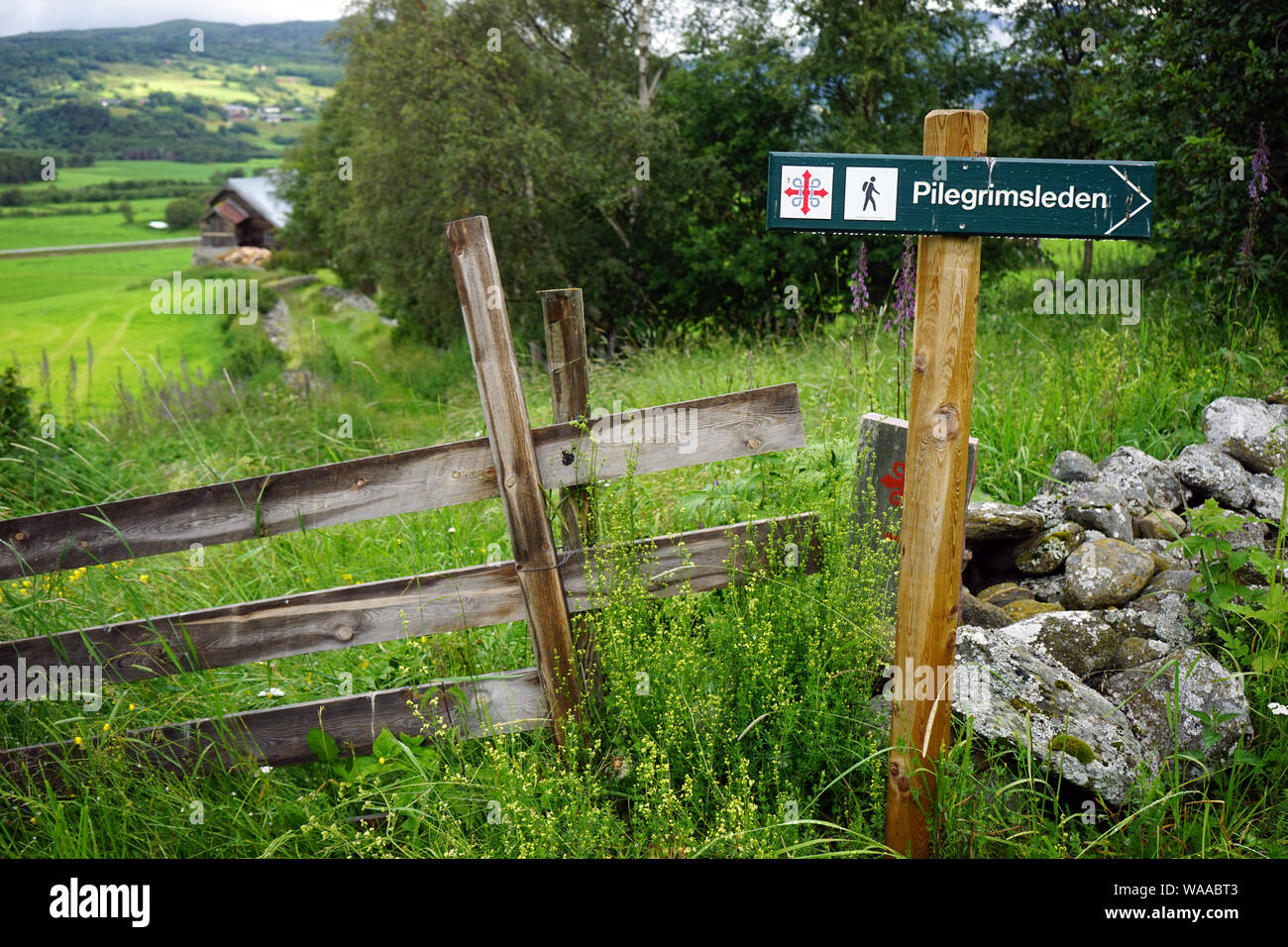 Pilegrimsleden trail signe sur le trottoir en Norvège Banque D'Images