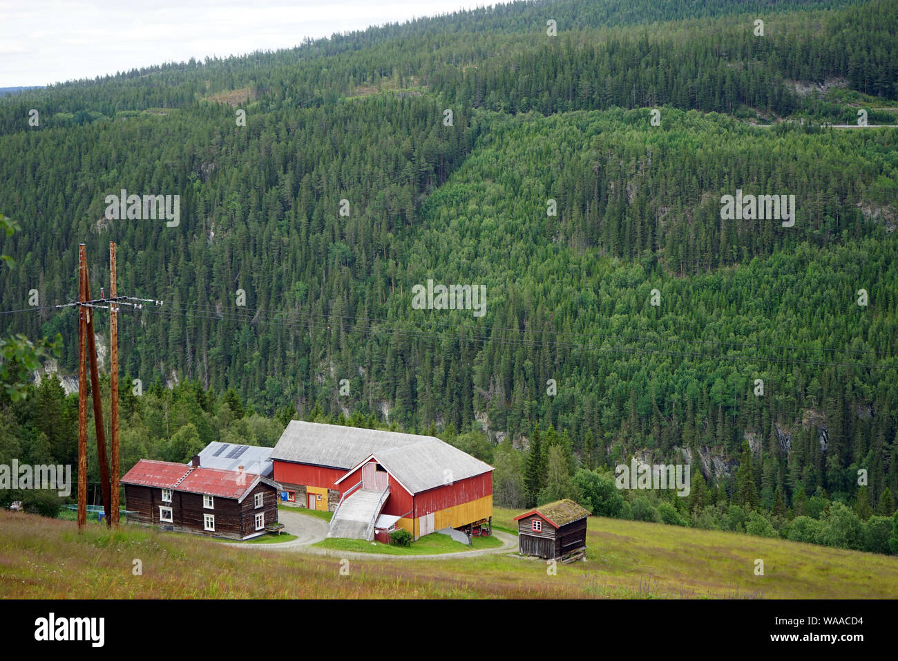 Ferme en bois Maisons sur la pente en Norvège Banque D'Images