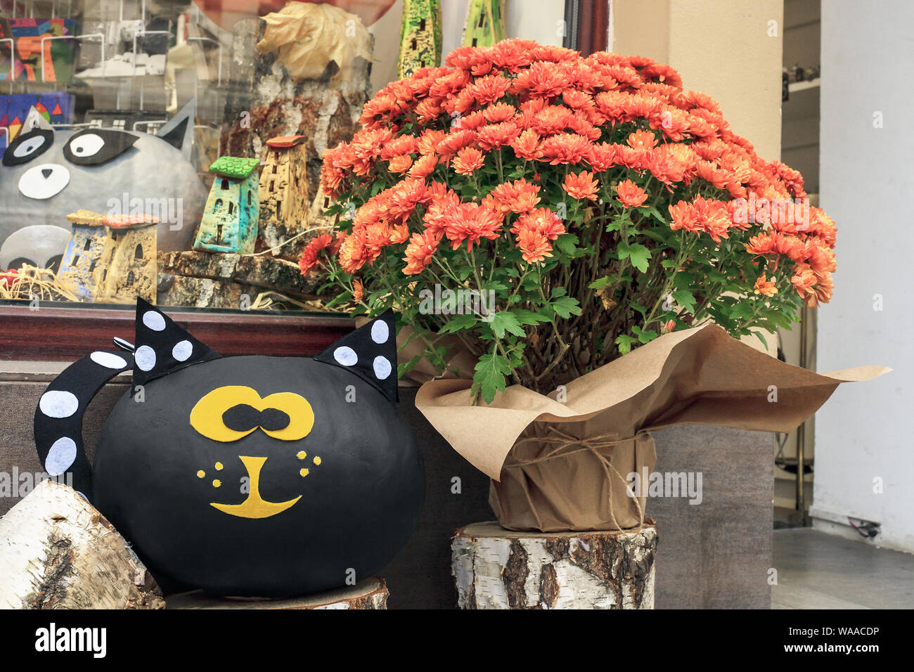 Bouquet de fleurs en pot de chrysanthèmes orange et papier mâché Jouets chat noir Banque D'Images