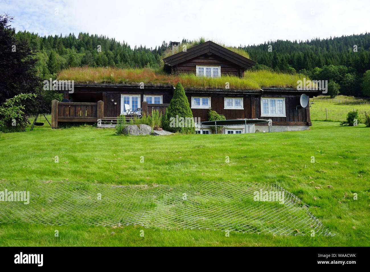 Vieille maison de bois avec de l'herbe verte sur le toit en Norvège Banque D'Images