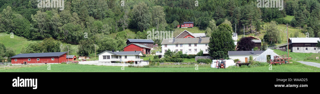 Panorama des maisons en bois dans la région de farm en Norvège Banque D'Images