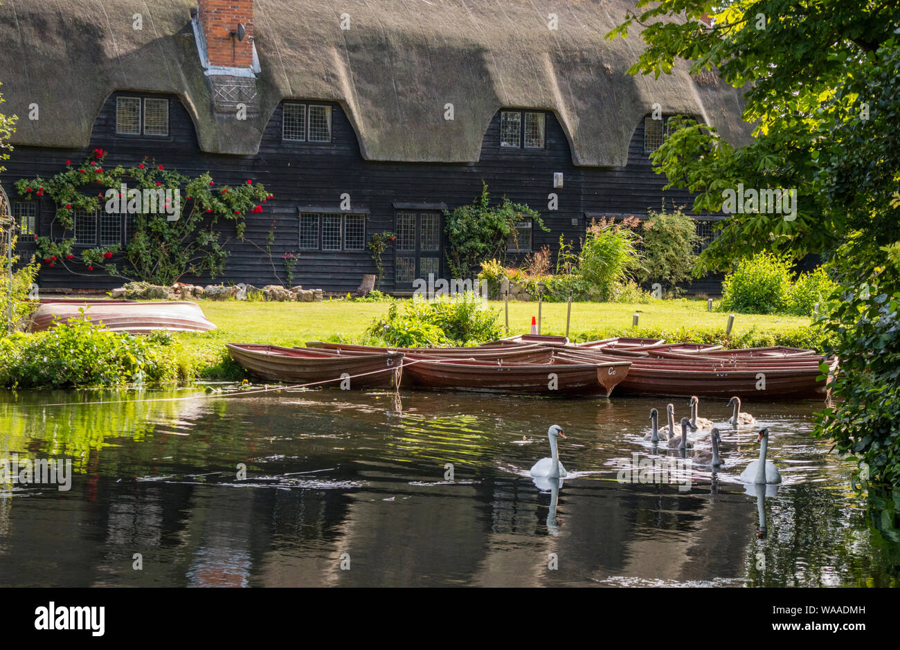 Barques sur la rivière Stour au National Trust's moulin de Flatford rendu célèbre par l'artiste John Constable 1776 -1837, Suffolk, Angleterre, RU Banque D'Images