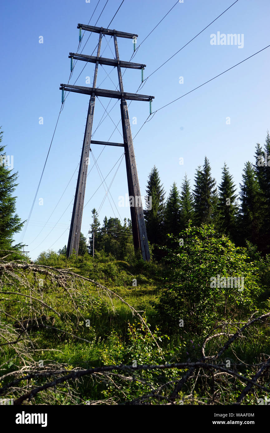 Pilier électrique et le fil dans la forêt en Norvège Banque D'Images