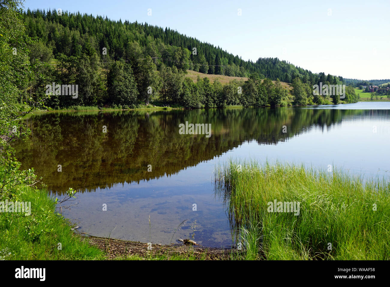 Lac en Norvège en temps calme Banque D'Images