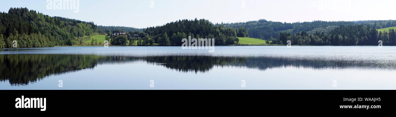 Panorama du lac et forêt en Norvège Banque D'Images