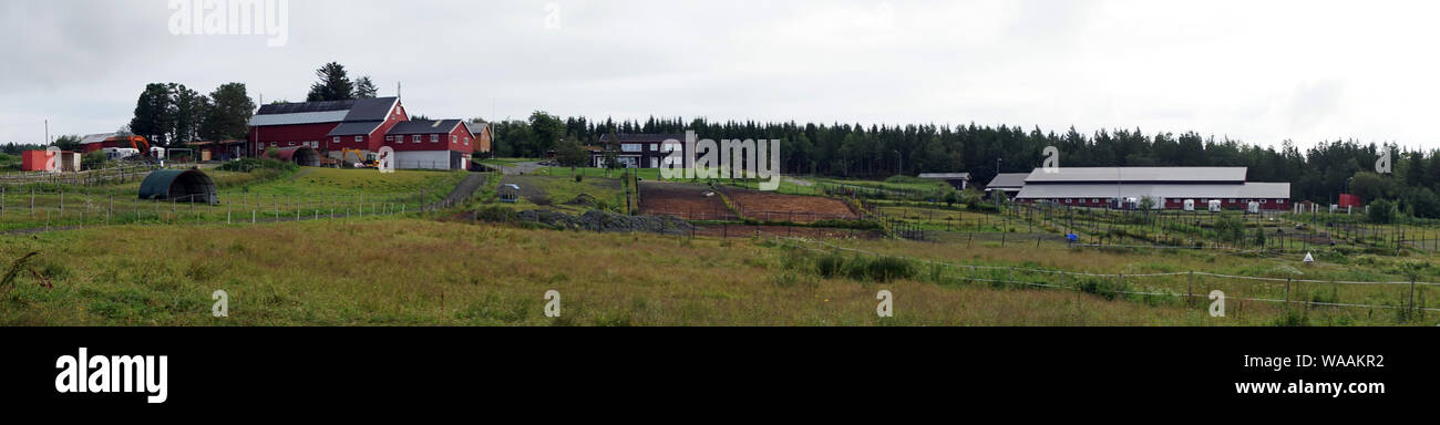 Panorama de l'horse farm en Norvège Banque D'Images