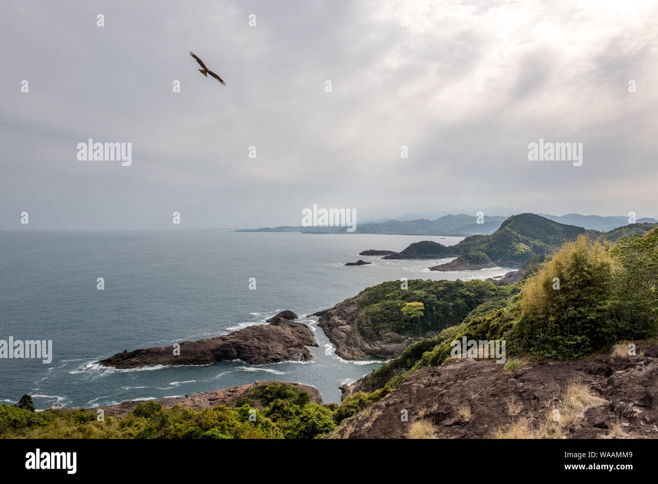 Un faucon vole au-dessus de la croix de mer à Umagase à Kyushu, au Japon Banque D'Images