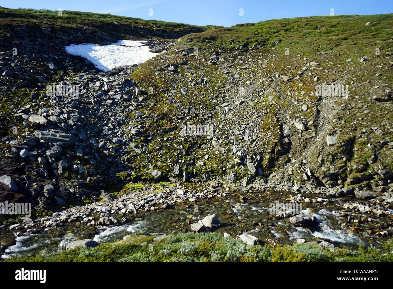 La neige et le fleuve dans le parc national de Dovre en Norvège Banque D'Images
