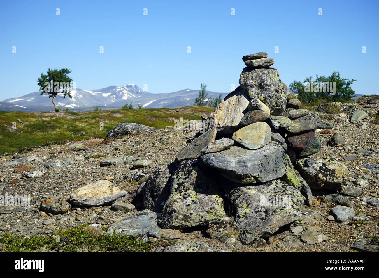 Rochers dans le parc national de Dovre en Norvège Banque D'Images