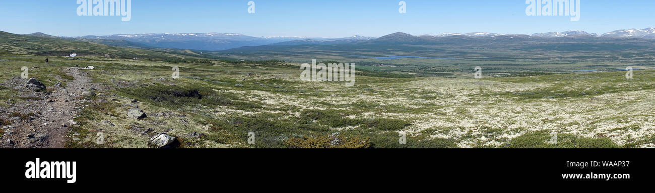 Trail de saint Olav façon Dovre parc national en Norvège Banque D'Images