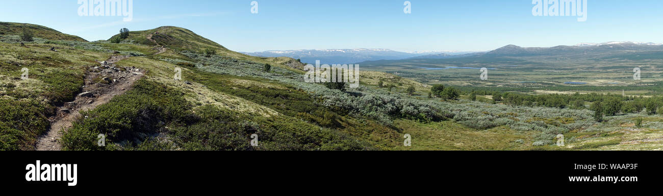 Sentier dans le parc national de Dovre en Norvège Banque D'Images