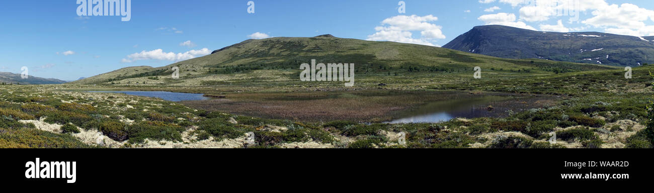 Panorama du lac et montagne dans le parc national de Dovre en Norvège Banque D'Images