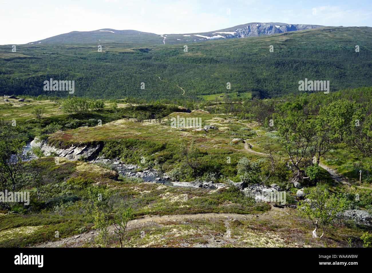 Sentier dans le parc national de Dovre en Norvège Banque D'Images