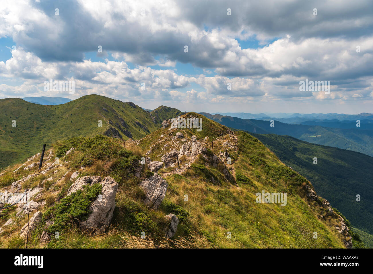 Vue panoramique à partir de l'été ( vieille montagne Stara planina), la Bulgarie. Parc national Balkan Central, Stena Kozia chèvre (mur) réserver. Banque D'Images