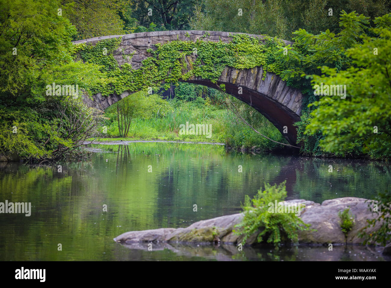Vue sur étang et lac Gapstow Bridge dans Central Park à New York aux États-Unis Banque D'Images