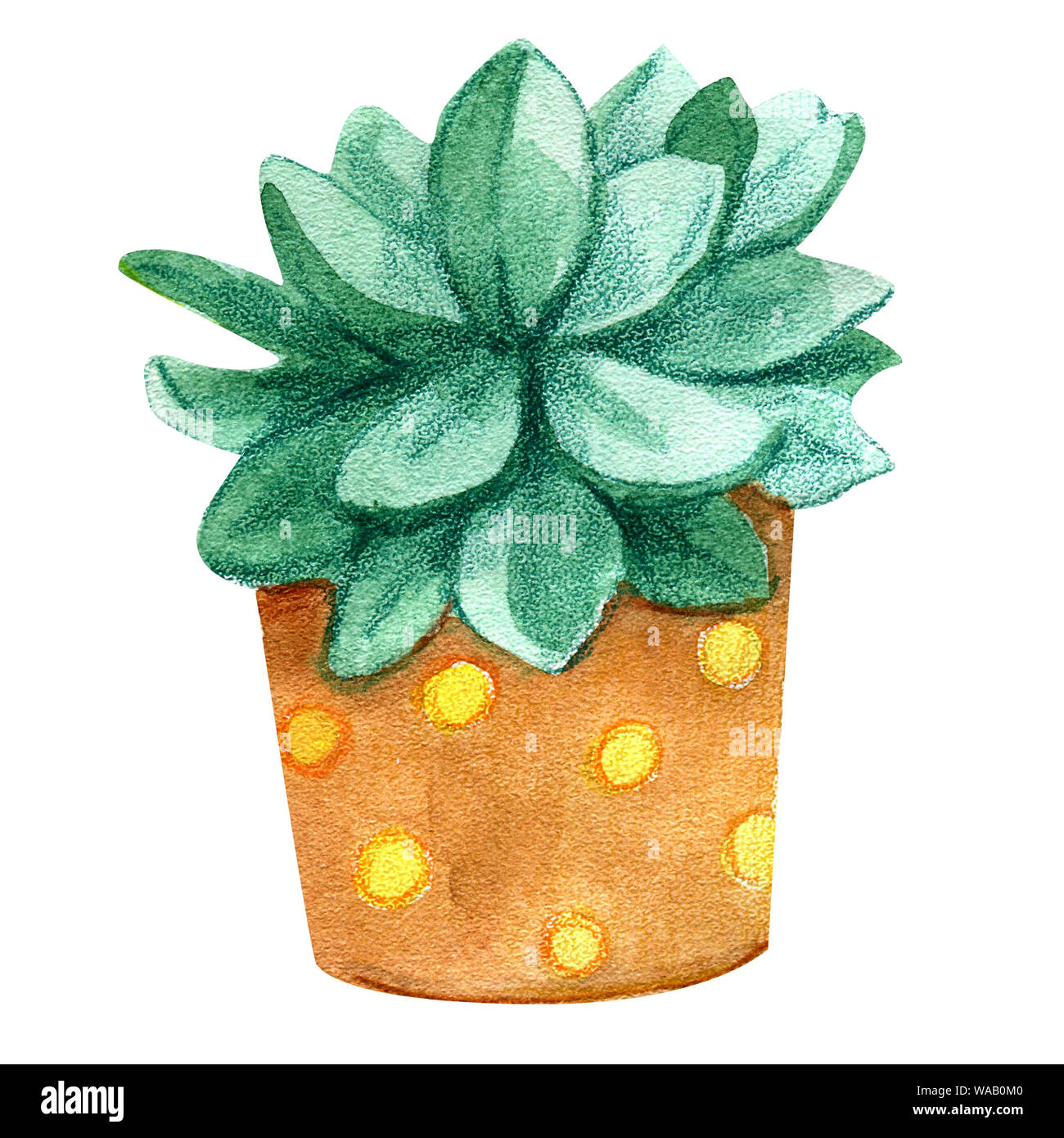 Cactus et succulentes à l'aquarelle. Illustrations raster pour les cartes de vœux, invitations, et d'autres projets d'impression sur un fond blanc.haute résolution Banque D'Images