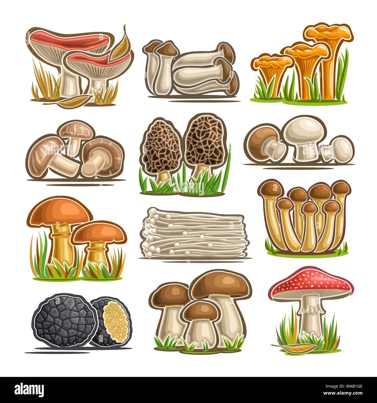 Vector set de champignons comestibles, 12 découper un assortiment de champignons crus abstrait pour une alimentation saine, collection de champignons isolés divers cartoon pour le d Illustration de Vecteur
