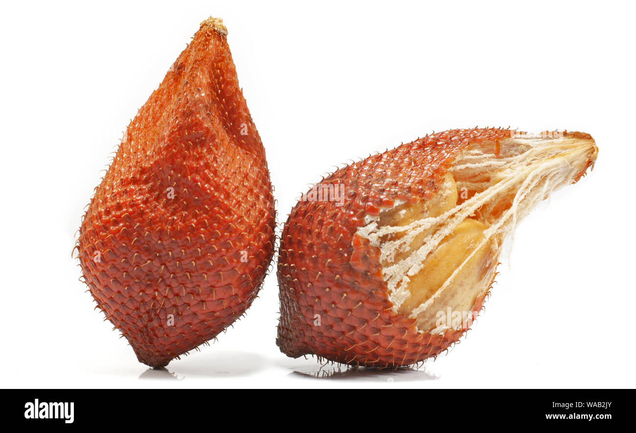 Peau de serpent Salak, fruits fruit isolé sur fond blanc Banque D'Images