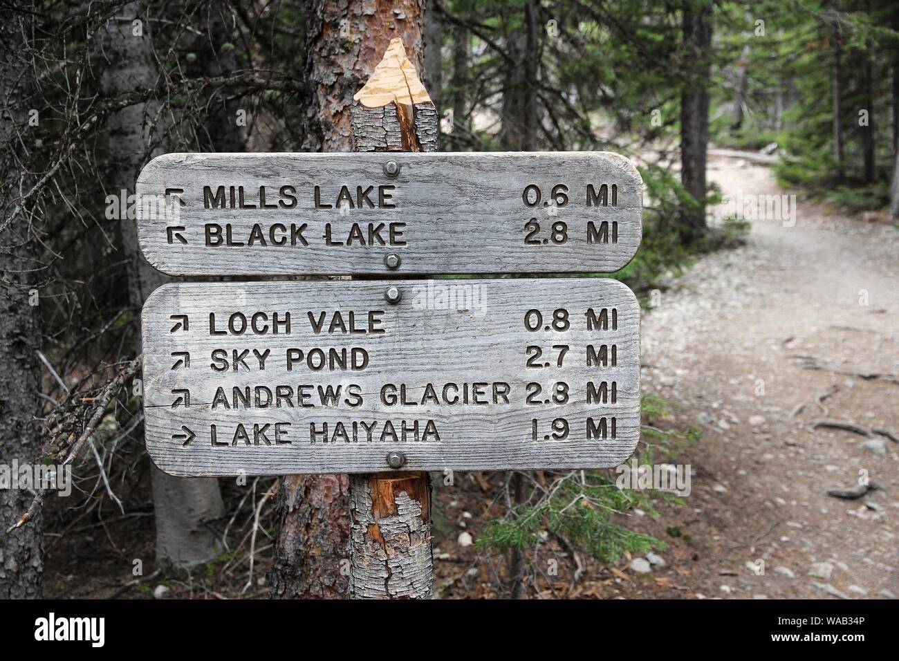 Parc National des Montagnes Rocheuses au Colorado, USA. Signes Trail de Mills Lake, Lac Noir, Lac et glacier Andrews. Haiyaha Banque D'Images