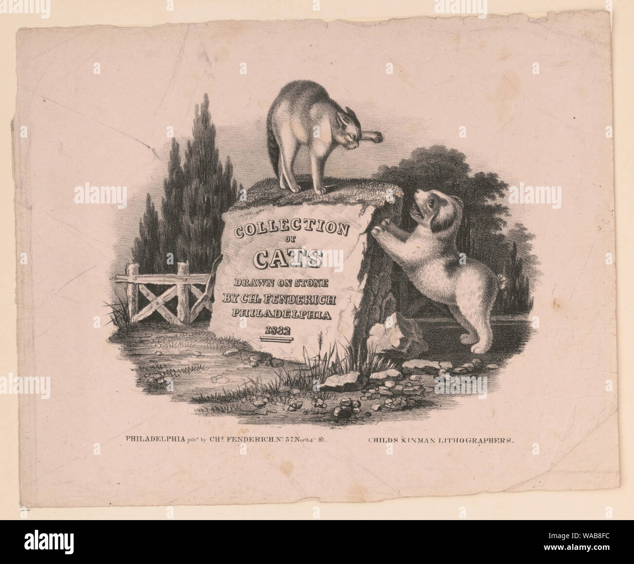 Collection de chats Banque D'Images