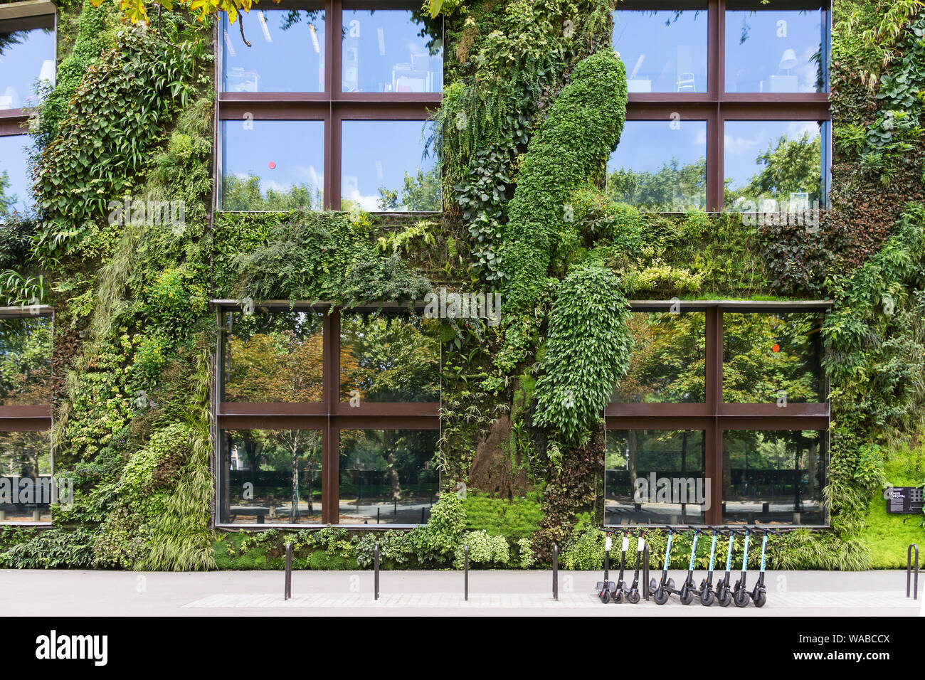 Mur vivant Paris - jardin vertical faites par Patrick Blanc sur le Musée du Quai Branly à Paris, France, Europe. Banque D'Images