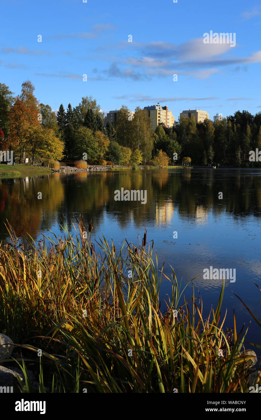 Paysage pittoresque de Valkeinen Lake situé à Kuopio, Finlande. Vous pouvez voir jaune et vert des arbres pendant l'automne / l'automne et de petits nuages. Banque D'Images