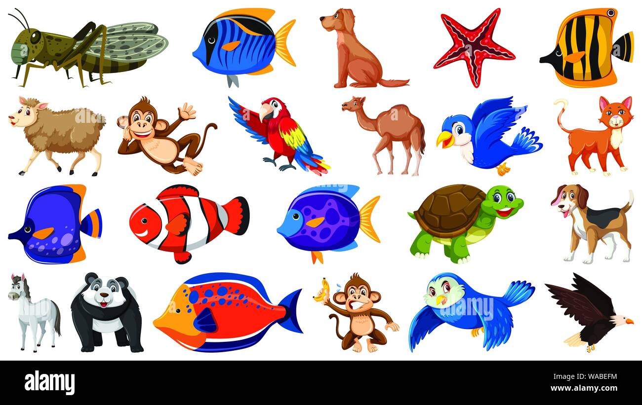 Poisson Sortes Sortes de poissons Banque d'images vectorielles - Alamy