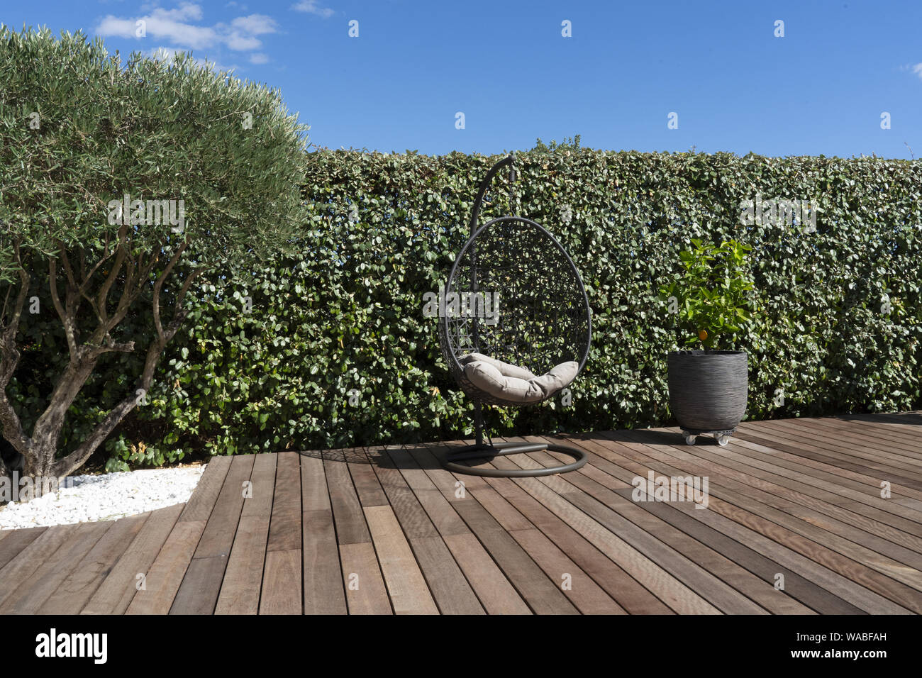 Un siège suspendu sur un sol en bois dans un jardin avec un olivier Banque D'Images