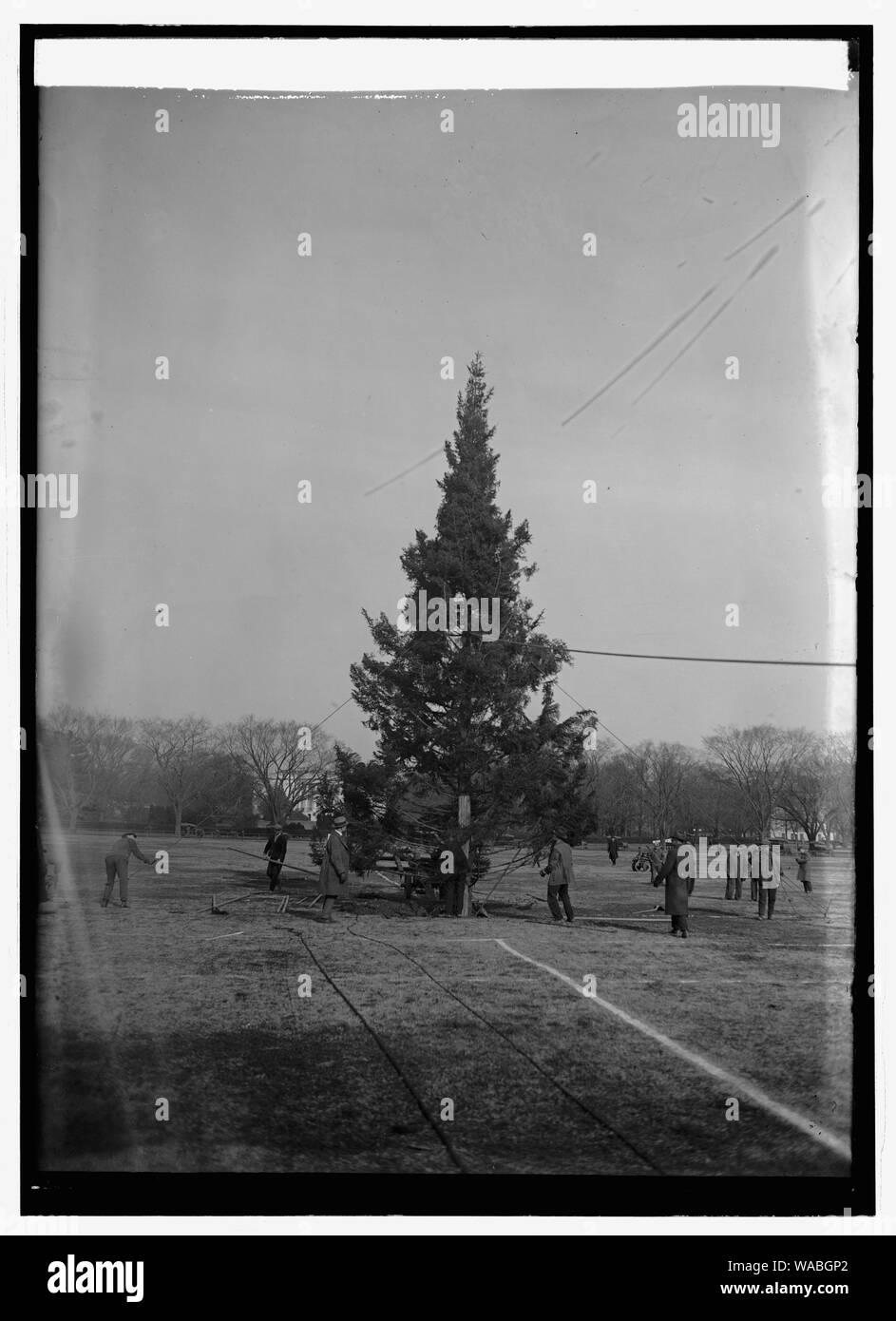 Arbre de Noël communautaire, [12/24/23] Banque D'Images