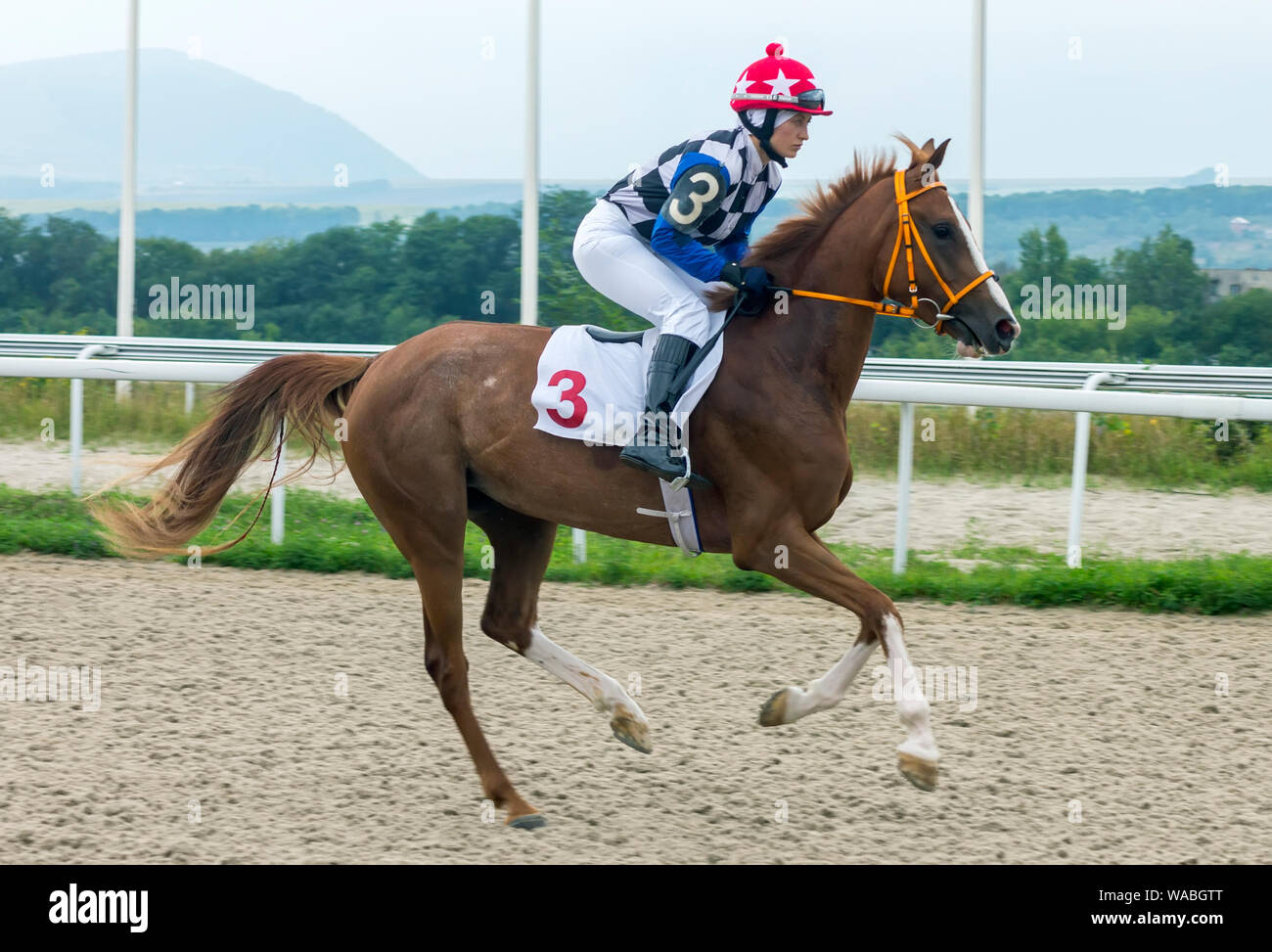 Course de chevaux à Pyatigorsk. Banque D'Images