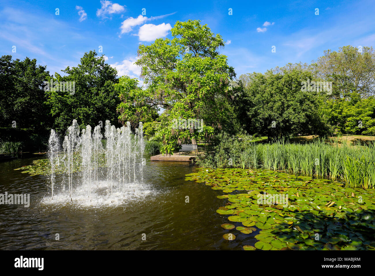 Muelheim an der Ruhr, Ruhr, Rhénanie du Nord-Westphalie, Allemagne - lac avec fontaine dans le parc, MŸGa Muelheim's garden à la Ruhr. Muelheim an de Banque D'Images