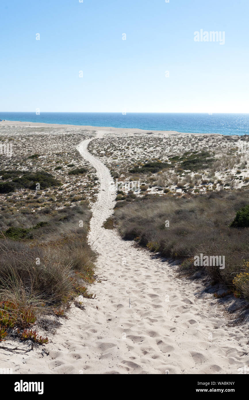 Un sentier sablonneux menant à la plage d'Aberta Nova (Praia da Aberta Nova), sur la côte vicentine, Alentejo, Portugal Banque D'Images