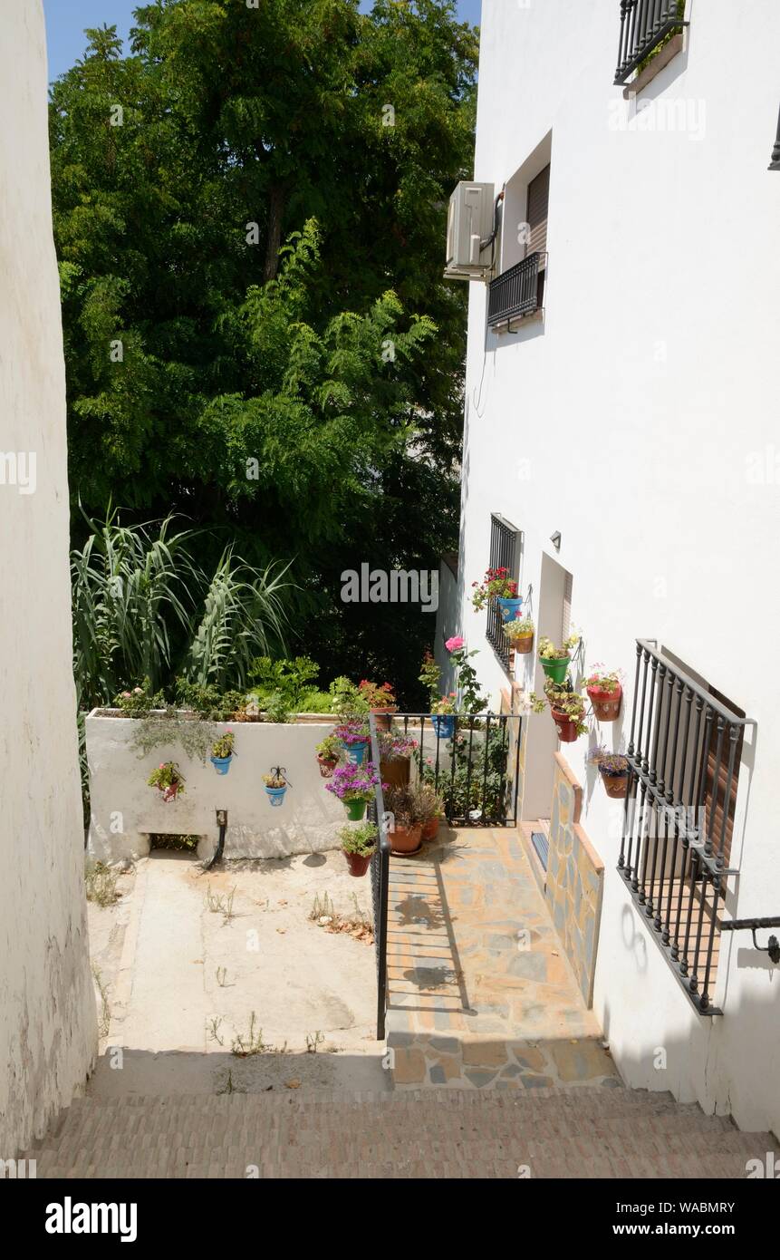 Beau coin à Casares, un village de montagne de la province de Malaga, Andalousie, espagne. Banque D'Images
