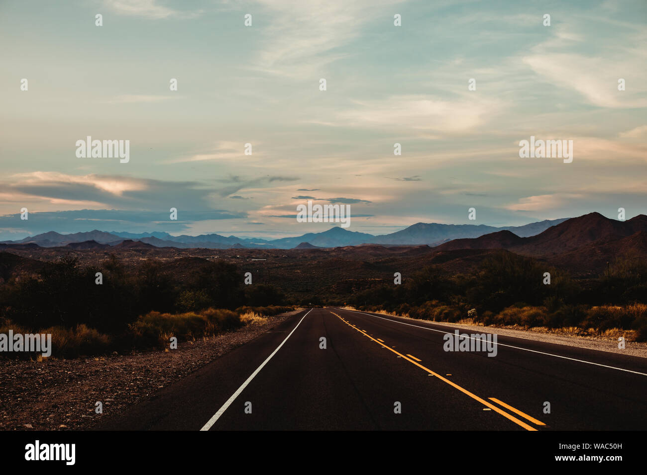 De nouveau sur la route Banque D'Images