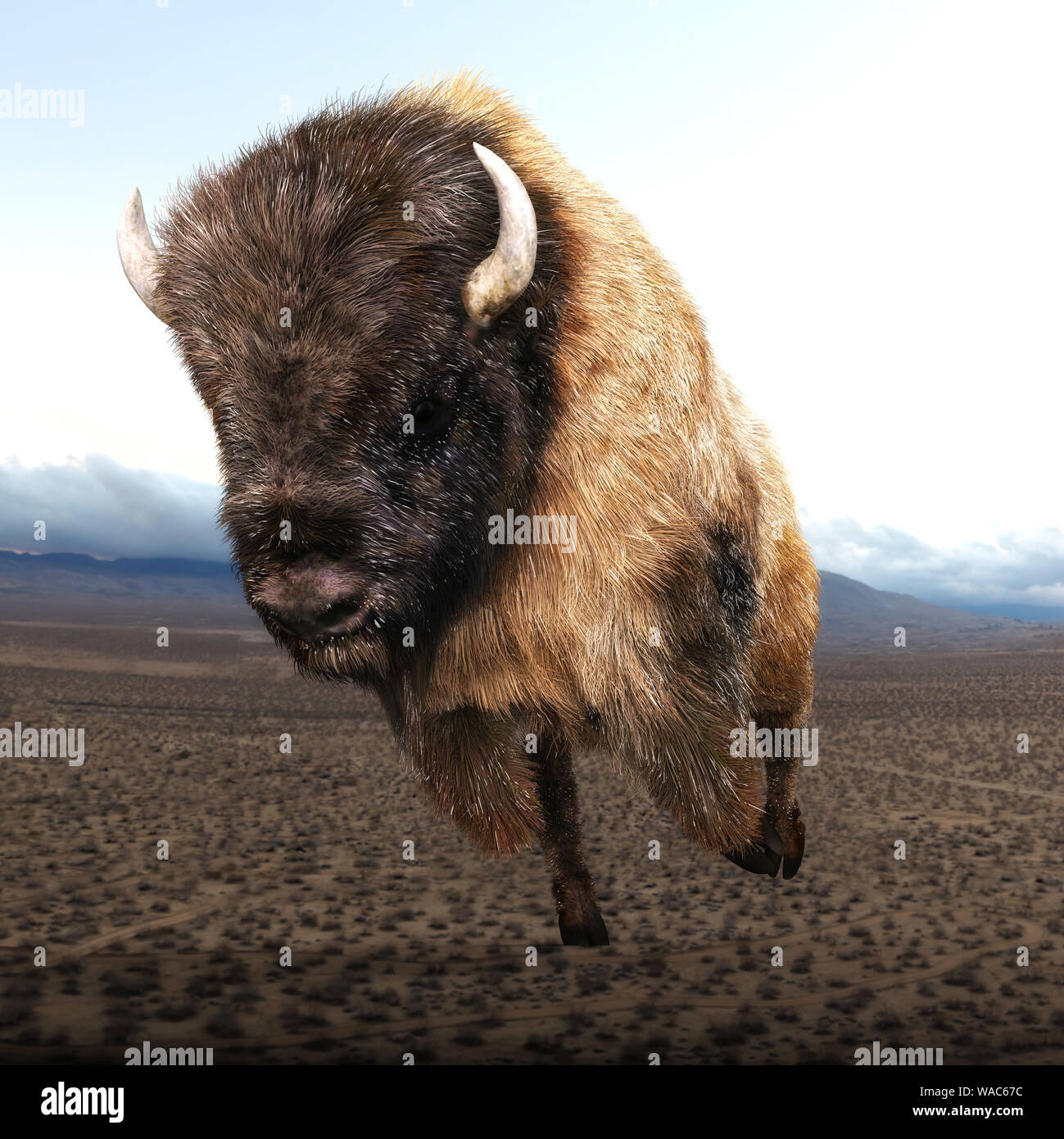 Digital 3D Illustration d'un Bison Banque D'Images