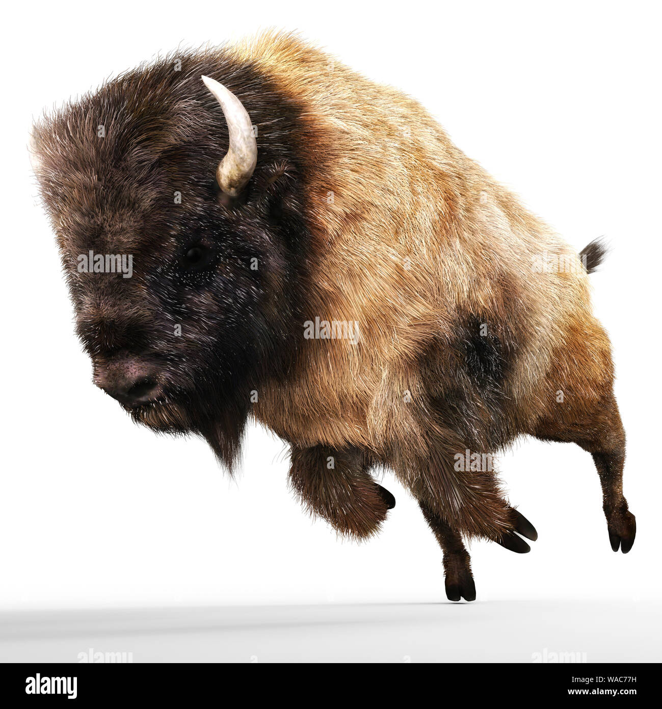 Digital 3D Illustration d'un Bison Banque D'Images