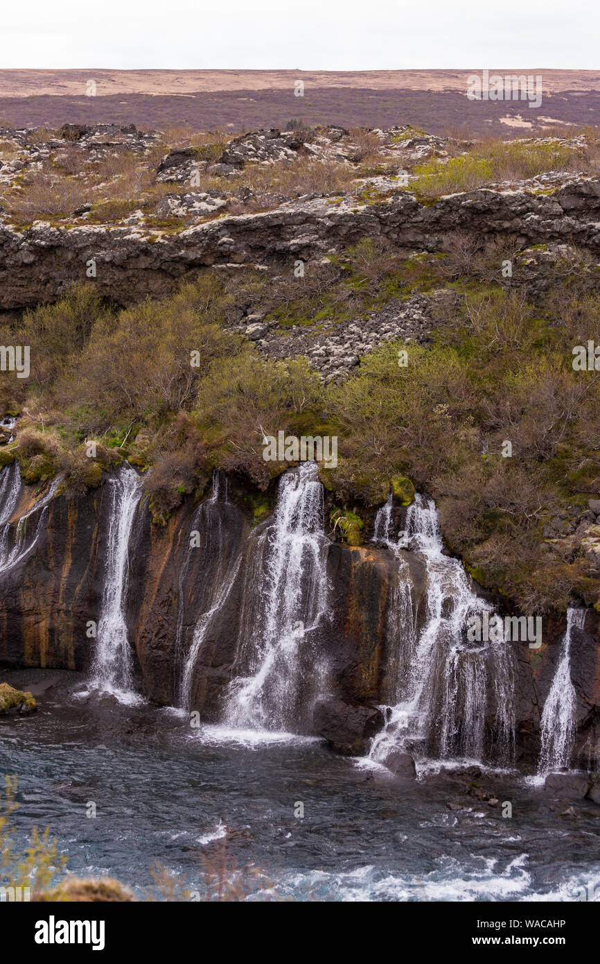 HUSAFELL, ISLANDE - cascade Hraunfossar, découlant de champ de lave. Banque D'Images